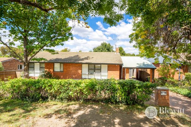 19 Scott Street, Narrabundah ACT 2604 - House For Rent | Domain - Photo 1