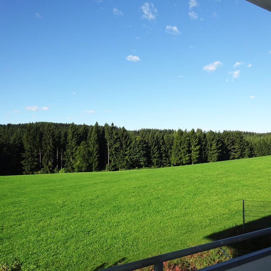 Sehr schöne 3-Zimmer Wohnung in Traberg mit Loggia - Foto 1