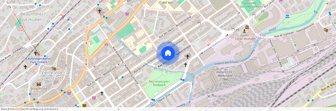 2502, Biel/Bienne, Rue Des Oeillets / Nelkenstrasse, 13