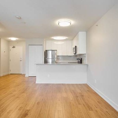 Pet-Free, 2bd 1ba, In Vancouver - Photo 3