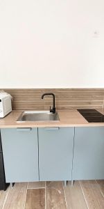 Location Appartement 1 pièce 16m² FAMARS 59300 - Photo 3