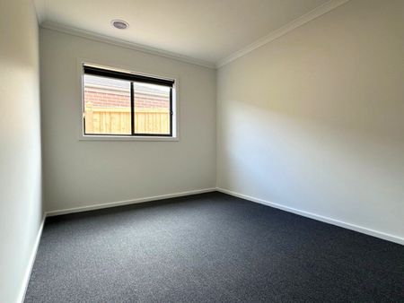 Beautiful 4 Bedroom Home for Rent - Photo 4