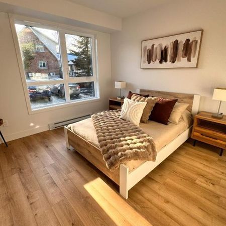 4 1/2 À LOUER - REPENTIGNY - APPARTEMENT À LOUER - Photo 3