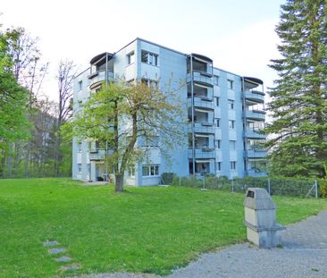 2.5 Zimmer, 53 m², 1. Stock - Foto 4