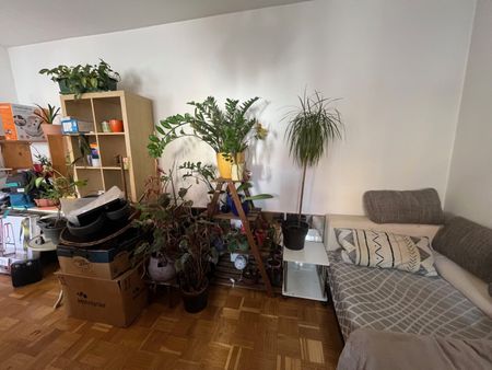 Helle und geräumige Garconniere in der Klosterwiesgasse sehr zentral gelegen mit Balkon – Provisionsfrei! - Photo 4