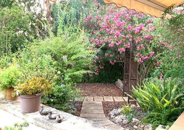 Beautiful Groundfloor Apartment in Nova Santa Ponsa to rent