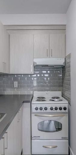 1 CH - 1 SDB - Montréal - $1,380 /mo - Photo 1