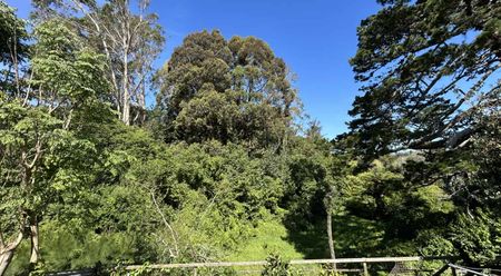 THREE BEDROOMS - Photo 4