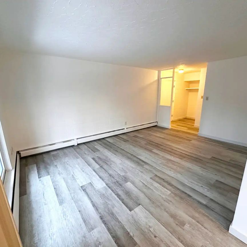 2929 Unwin — 2 Bedroom 1 Bath - Photo 1