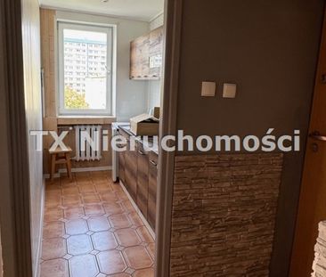 Szczygłowice - Zdjęcie 4