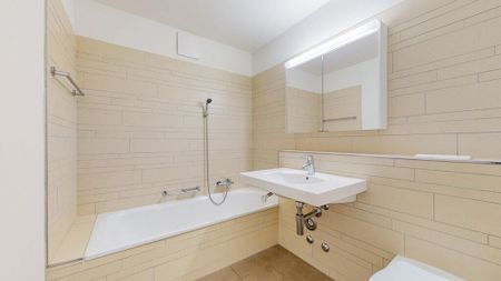 En pleine campagne - au milieu de Zurich - Photo 2