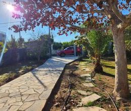 Μονοκατοικία για ενοικίαση - Ερέτρια, - Photo 5