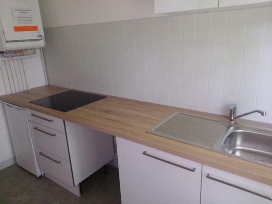 Location Appartement 33m² NANCY 54000 - Photo 1