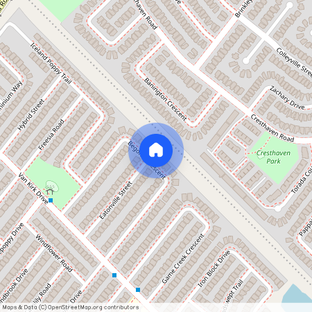 62 Begonia Crescent Unit# Upper, Brampton