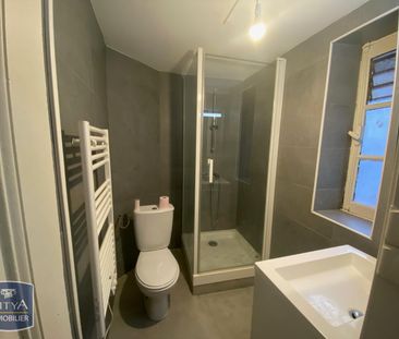 Location Appartement 2 pièces 50m² GRENOBLE 38000 - Photo 6
