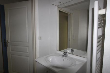 Location Appartement 1 pièce 19m² NANTES 44300 - Photo 2
