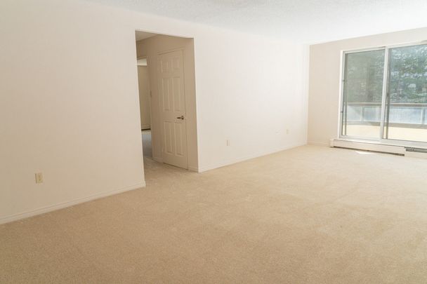 Windermere Place - Photo 1