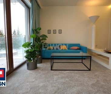 Apartament na wynajem Piotrków Trybunalski, Centrum - Photo 2