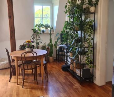 Wunderschöne 2-Zimmerwohnung unterhalb der Sparrenburg - Photo 1