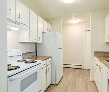 1 Bedroom - Photo 6
