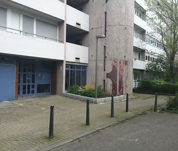 2 Zimmer, Küche, Dusche, 2 Loggien, Aufzug, Tiefgarage, 8. Ebene - Photo 1