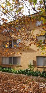 7/41 David Street, O'Connor ACT 2602 - Apartment For Rent | Domain - Photo 4