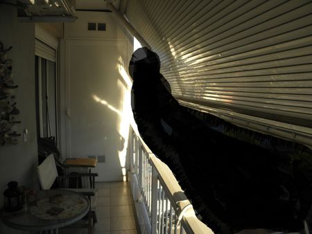 Διαμέρισμα για ενοικίαση Πάρκο - Αγία Τριάδα (Κατερίνη) - Photo 5