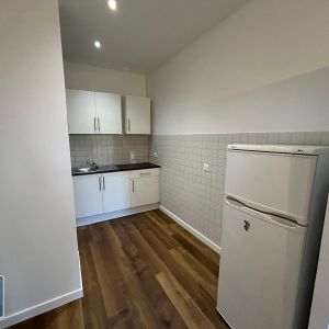 Location Appartement 1 pièce 44m² LILLE 59000 - Photo 2