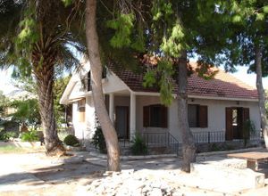Μονοκατοικία για ενοικίαση - Μέγαρα, - Photo 2