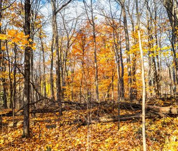 For Lease - 76 North Park Drive, Toronto, Ontario - Photo 4