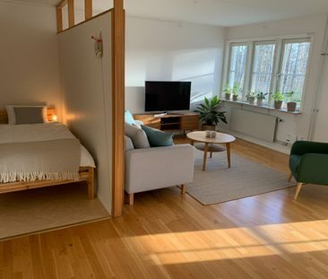 Otteshagen: Etta i lummigt område på nedre botten - Photo 3