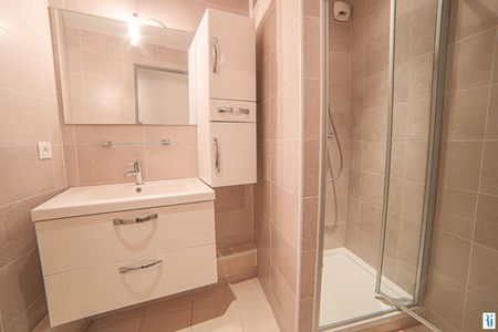 Location Appartement 1 pièce 34m² DEVILLE LES ROUEN 76250 - Photo 5