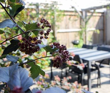 Södergatan 23 - Photo 3