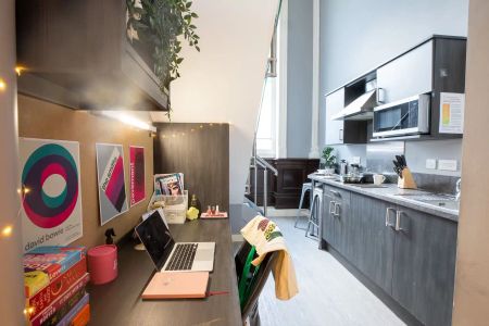 Bronze Mezzanine Apartment - Photo 4