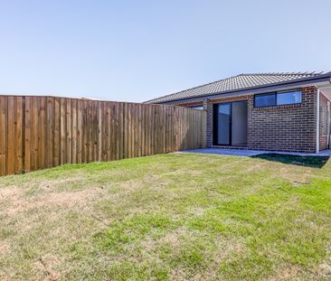 2/78 Mercy Street, Park Ridge QLD 4125 - House For Rent | Domain - Photo 5