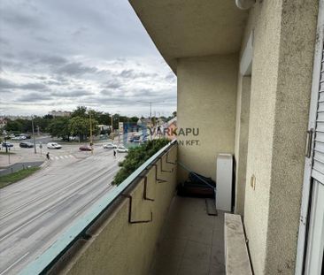 Kiadó jó állapotú lakás - Székesfehérvár - Photo 1