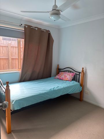 Forest Lake - Photo 4