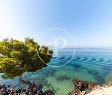 Piso de alquiler en Aucanada , Port d'Alcúdia - Platja d'Alcúdia - Photo 2