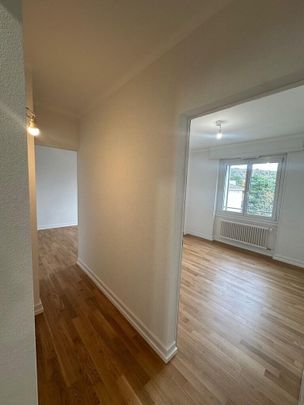 Appartement complétement renové de 4.5 pcs dans un quartier calme - Photo 1