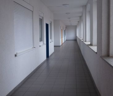 Dingelstädt: Helle und gepflegte 3-Zimmer-Wohnung in zentralem Mehr... - Foto 1