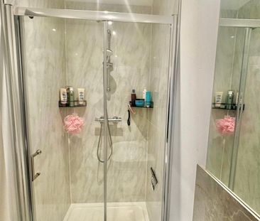 Back Dragon Parade - Photo 5