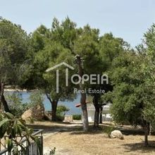 Μονοκατοικία για ενοικίαση - Μαρκόπουλο, - Photo 3