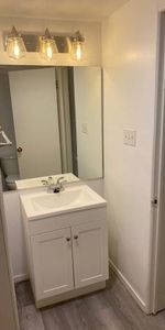 Completely renovated 1 bedroom suite - Photo 3