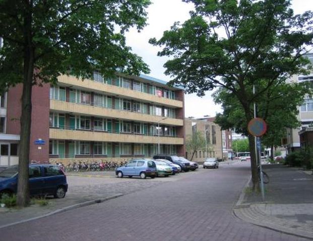 Van Adrichemstraat 2614 Delft - Foto 1