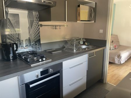 T1 MEUBLE + PARKING - Photo 4