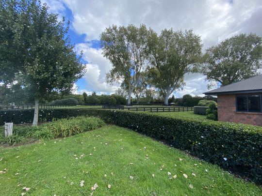 Set on a large lifestyle section, this magnificent family home has it all. - Photo 1