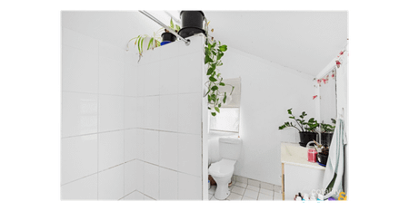 Charming Queensland Cottage in Prime Manly Location – Don’t Miss Out! - Photo 3