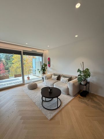 Superb new 3-room penthouse apartment with terrace in Vessy - Photo 5