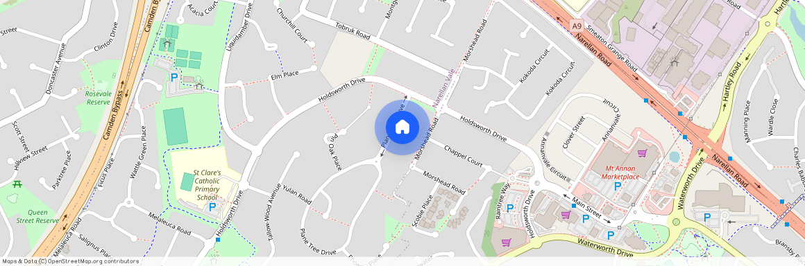 9 Plane Tree Drive, NSW 2567, Narellan Vale