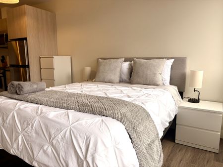 For Lease - 335 College Street Unit# 201, Toronto, Ontario - Photo 5